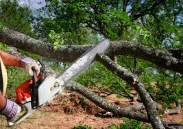 Best Lawn Irrigation Installation and Maintenance  in Glassboro, NJ
